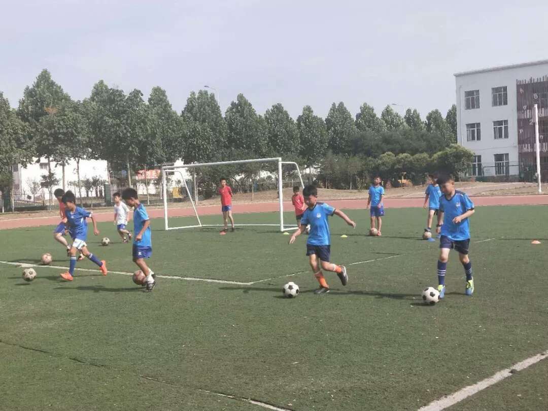 1561447685205952.jpg 1.jpg