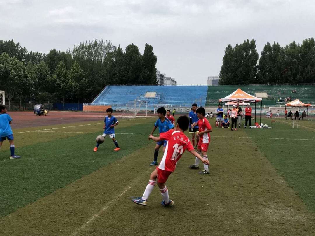 1561447762537659.jpg 3.jpg